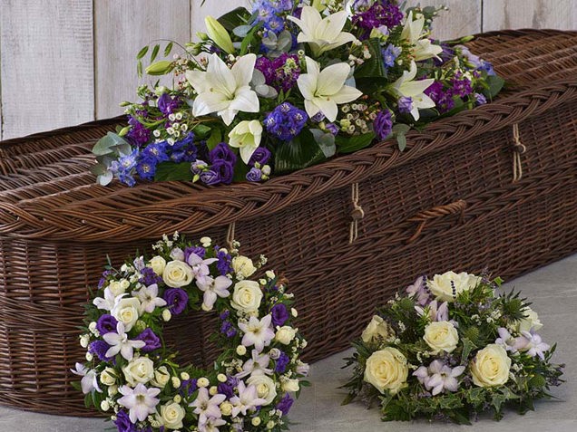 The Blue Collection image