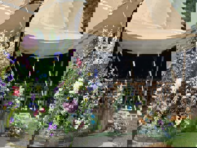 20230729 205816000 Ios 5