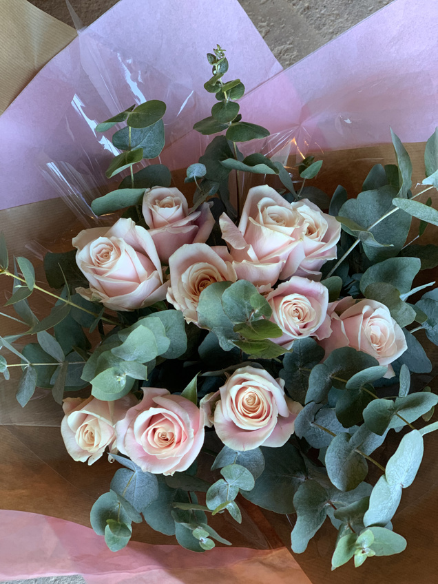 Blush Pink Roses and Eucalyptus image