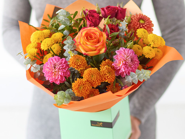  The Dahlia Delight image