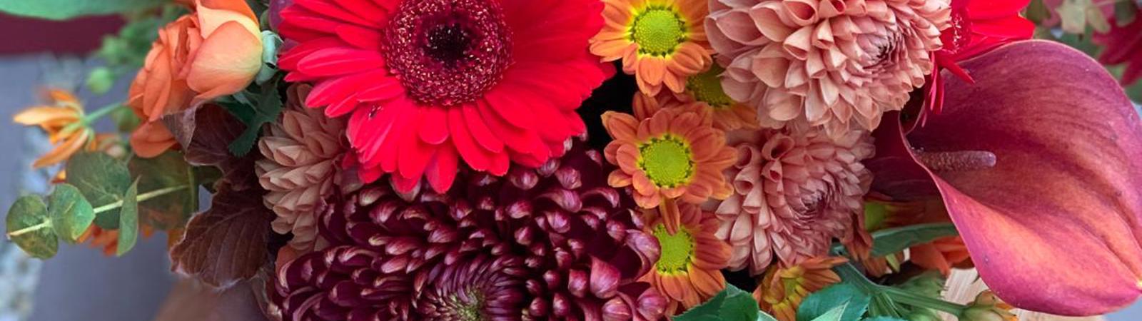 Autumn Pumpkin Workshop – 28 October